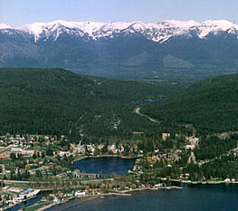 pic1